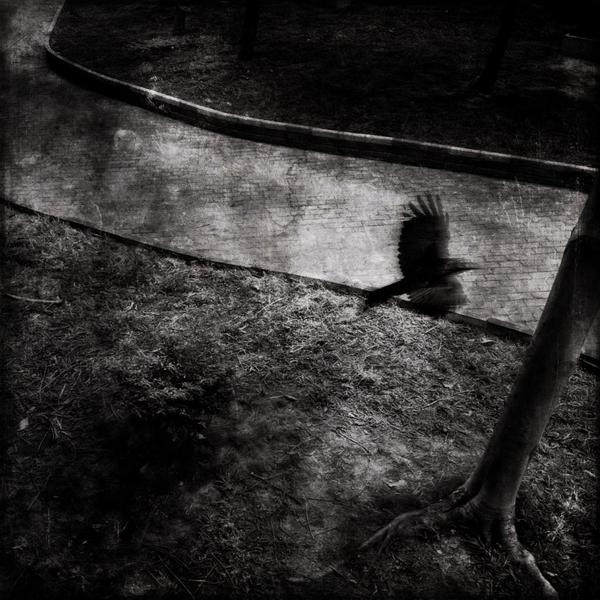 手机号呼叫软件